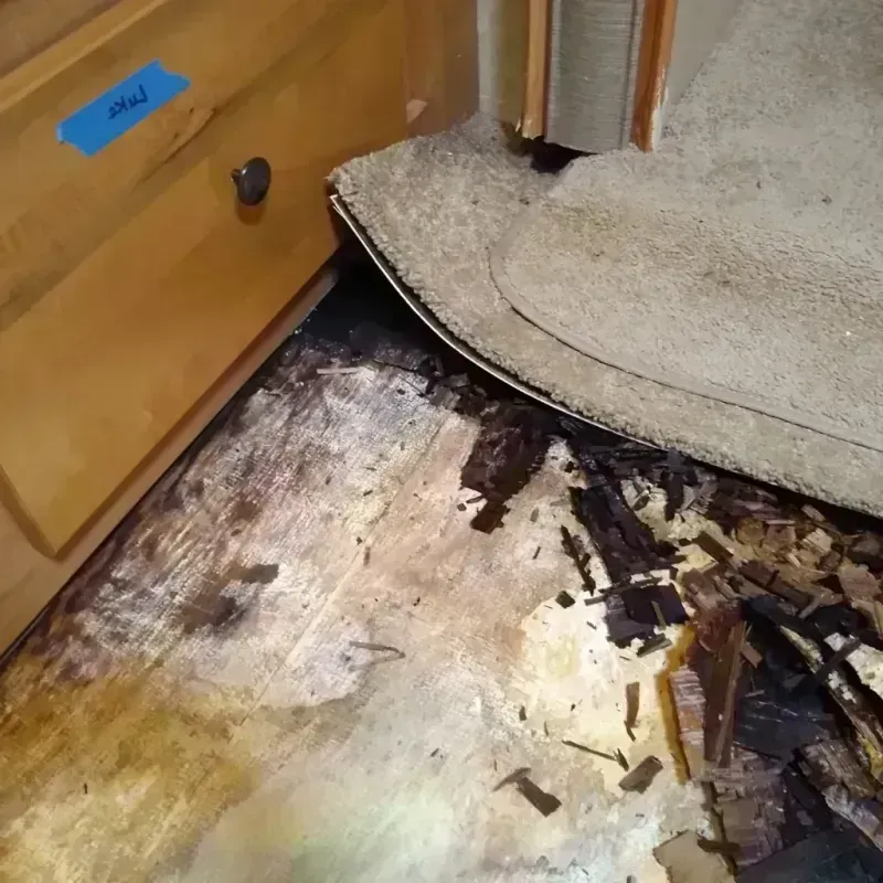 Best Wood Floor Water Damage Service in Goldenrod, FL